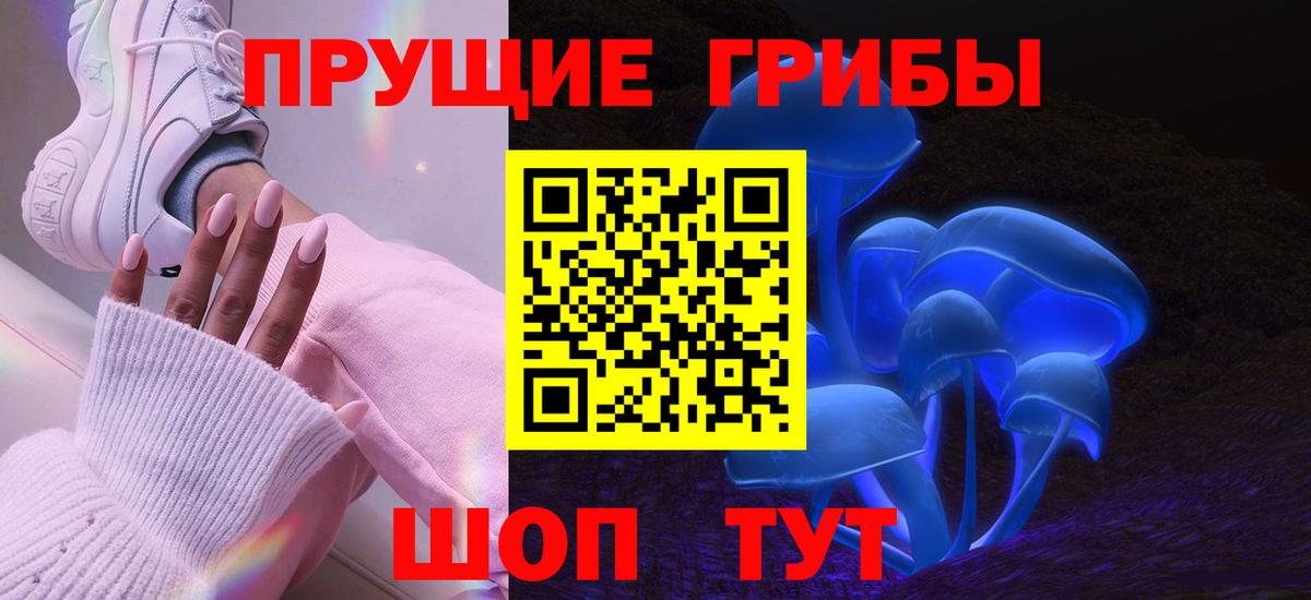 Светлоград  Псилоцибиновые грибы Cubensis  Вход с VPN 