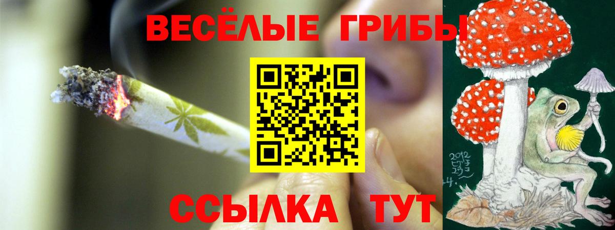 Псилоцибиновые грибы мухоморы Светлоград